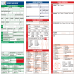 template topic preview image Nursing Patient Report