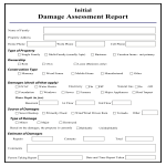 template topic preview image Damage Assessment