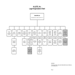 template topic preview image Legal Organization Chart Sample