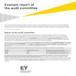 template topic preview image Audit Committee Report