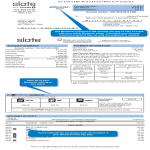 Chase Bank Account Statement gratis en premium templates