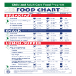 template topic preview image Child and Adult Food Program Chart