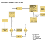 Event Process Flow Chart gratis en premium templates