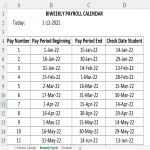 Biweekly Pay Schedule gratis en premium templates