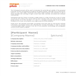 template topic preview image Company Executive Summary