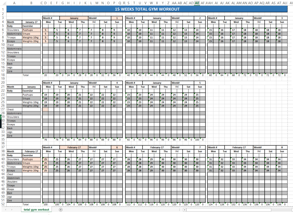 template topic preview image Total Gym Workout Schedule