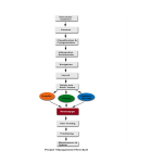 Project Management Flow Chart gratis en premium templates