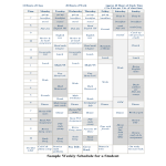 Student Weekly Schedule gratis en premium templates