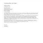 template preview imageChief Nursing Officer Job Application Letter