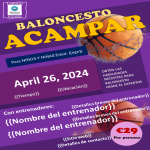 plantillas gratuitas y premium