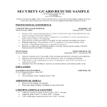 template topic preview image Officer Resume