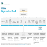 Organization Chart gratis en premium templates