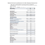 template topic preview image Printable Profit And Loss Statement Form