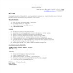 template topic preview image Professional Babysitter Resume