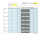 template topic preview image Daily Timesheet Excel
