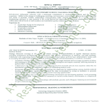 Secondary School Teacher Resume gratis en premium templates