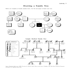 Vorschaubild der VorlageMedical Family Tree Sample