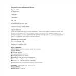 Executive Accountant Curriculum Vitae Sample gratis en premium templates