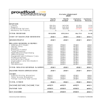 Monthly Income Statement Excel gratis en premium templates