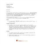 template topic preview image Job Offer Appointment Letter