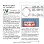 template topic preview image Baby Tooth Loss Chart