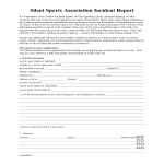 template preview imageInsurance Incident Report