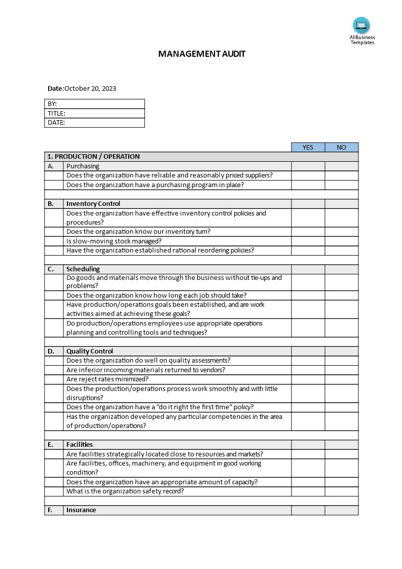 management audit template