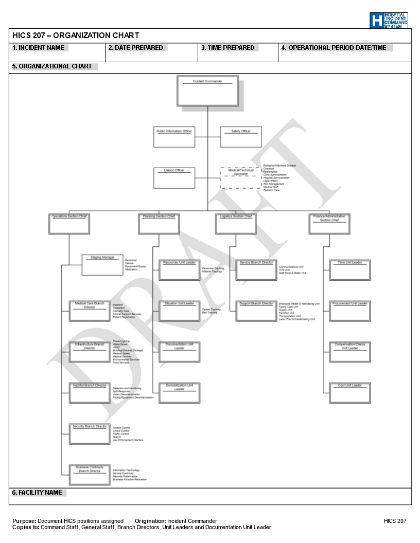 hospital organization chart modèles