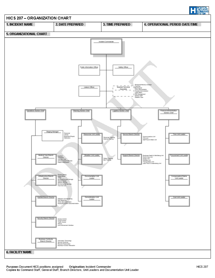 Hospital Organization Chart main image