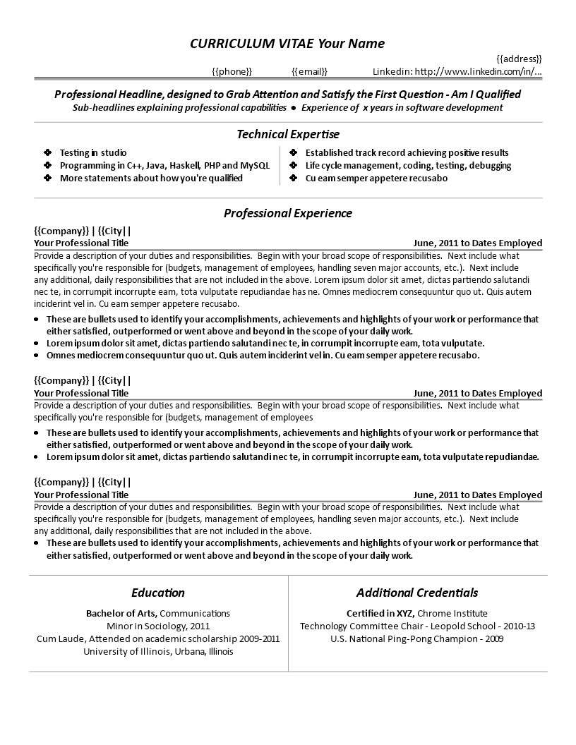 it technical cv template