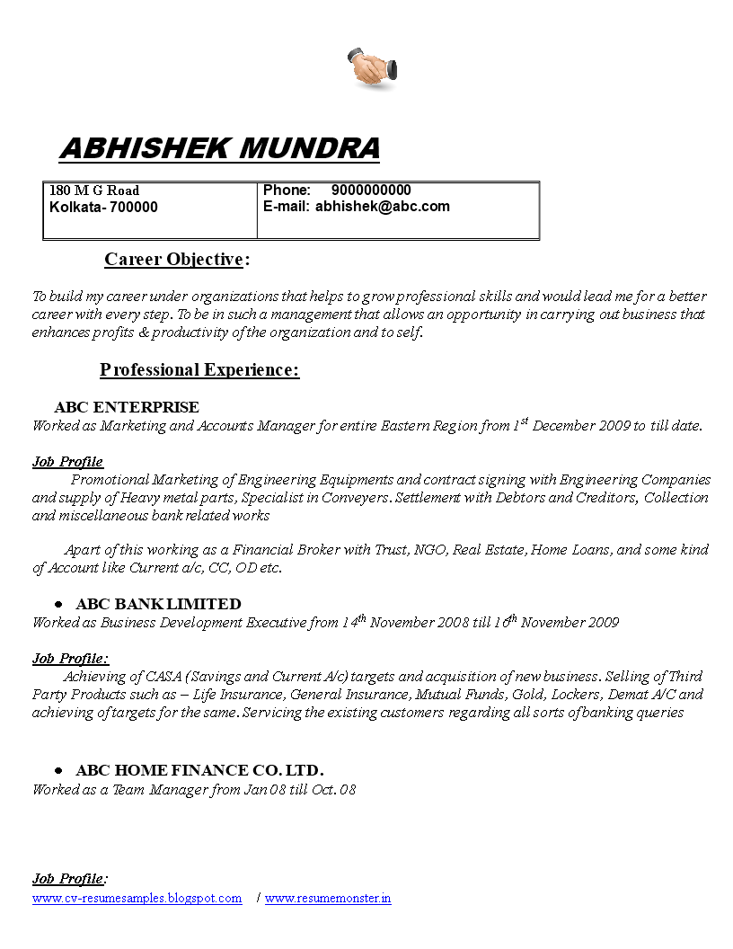 marketing accounts manager resume template