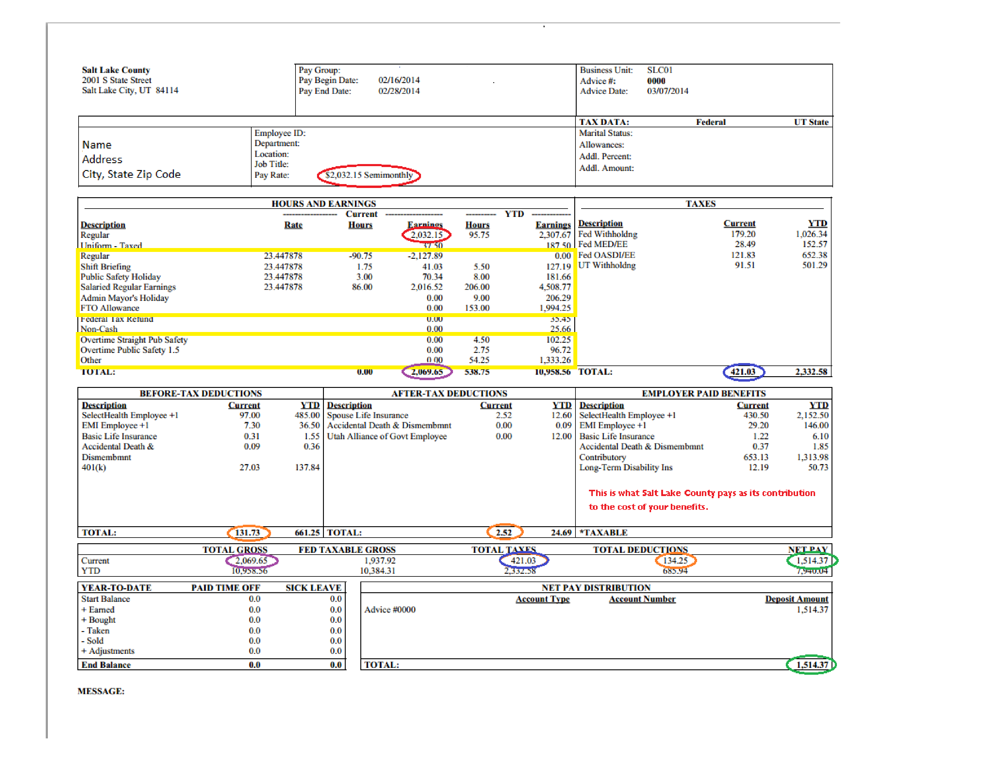 Salary Pay Stub Templates at