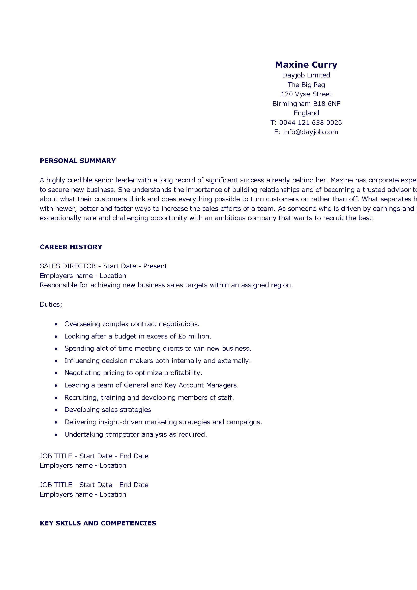 sales director cv template