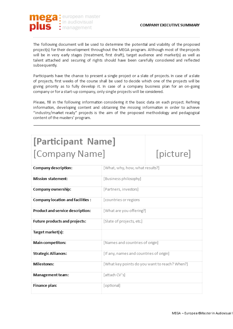 company executive summary voorbeeld afbeelding 