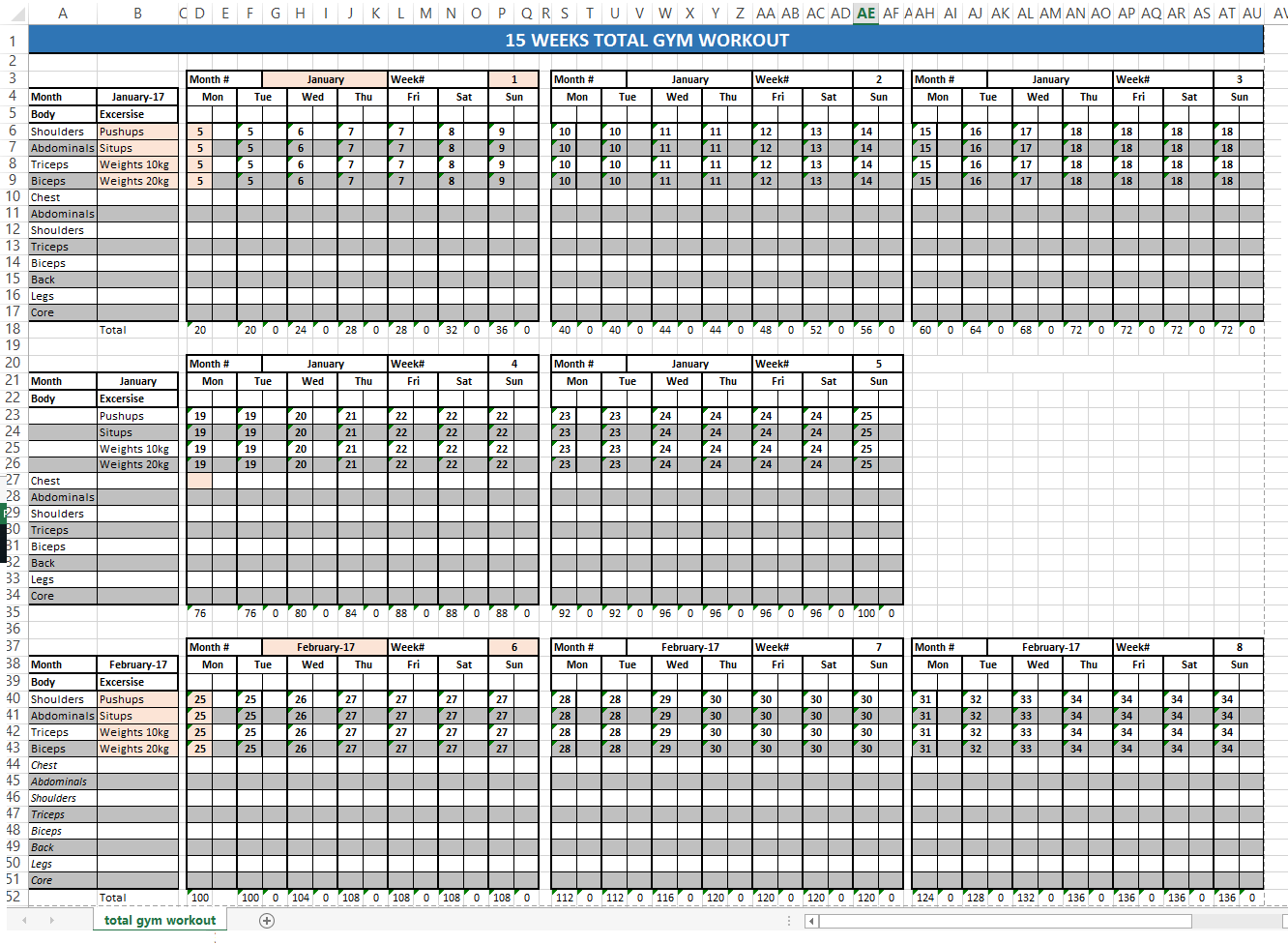 total gym workout schedule voorbeeld afbeelding 