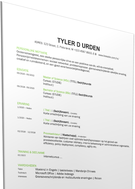 professioneel curriculum vitae sjabloon template