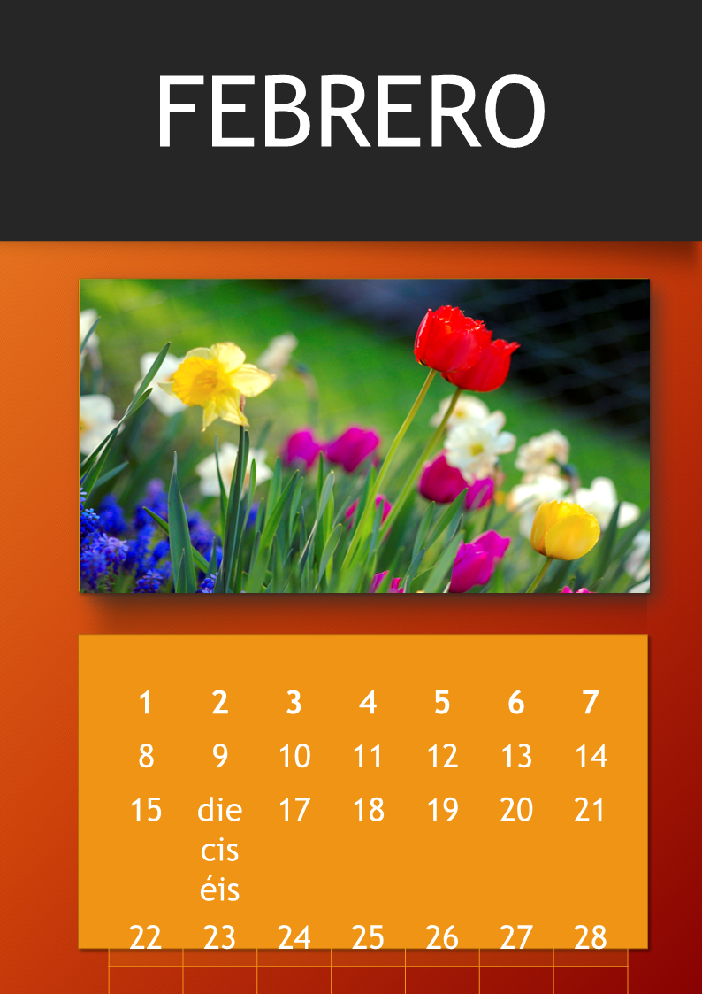 plantilla de calendario fotográfico anual template