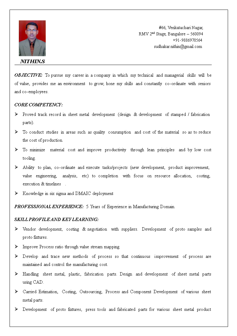 product development manager resume plantilla imagen principal