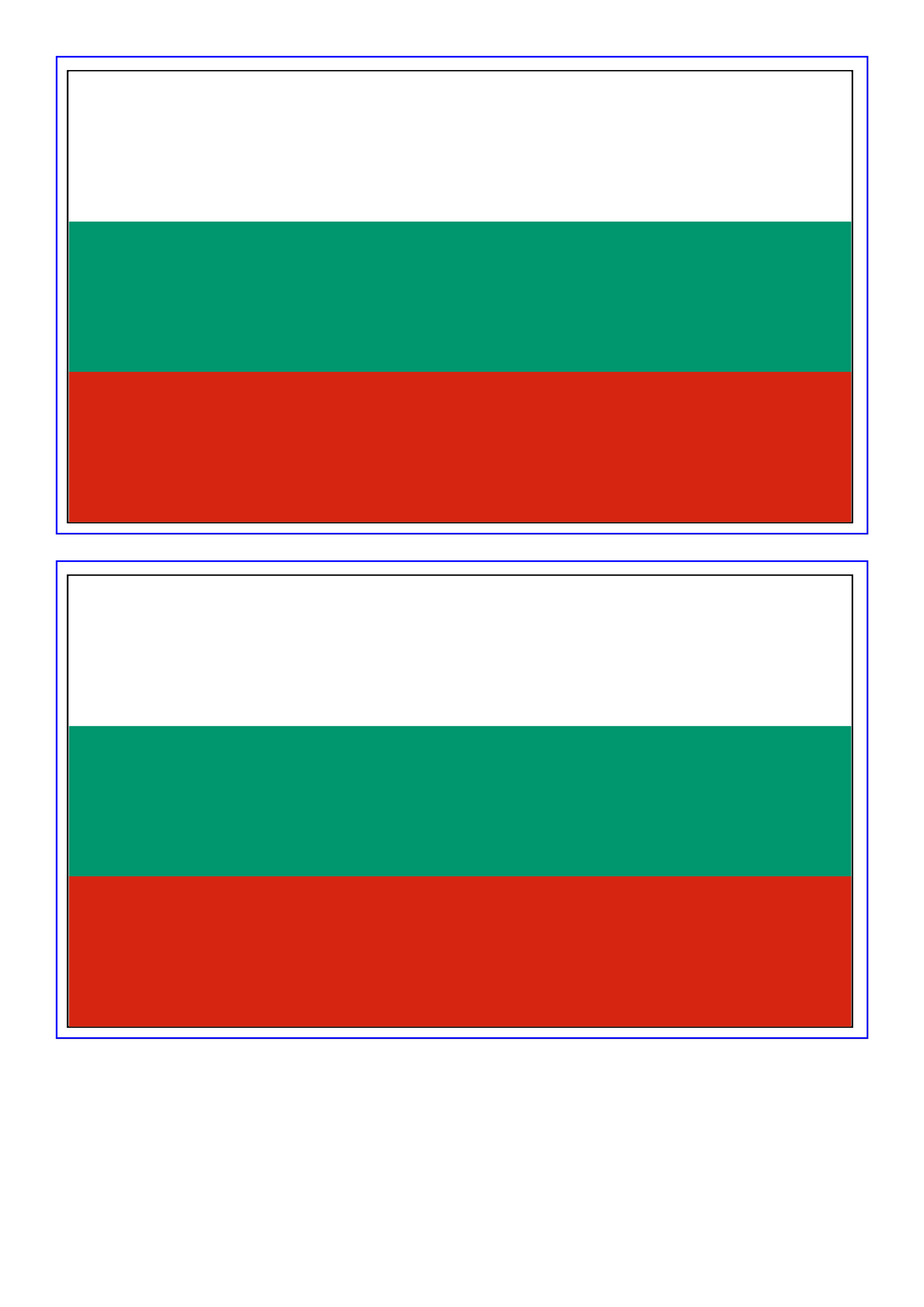 Bulgaria Flag main image