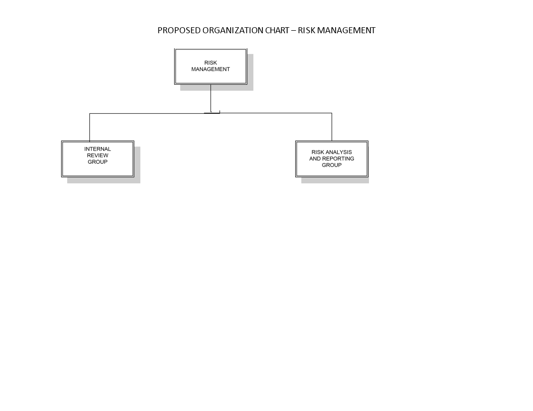 risk management organization chart modèles