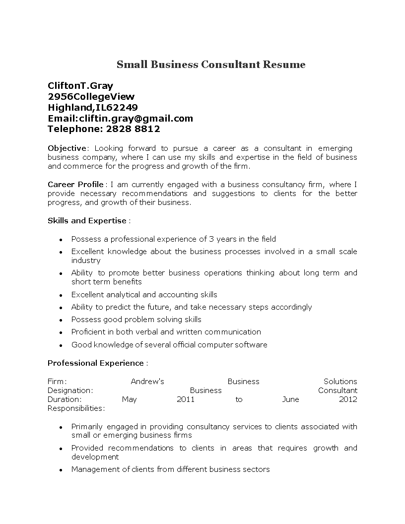 small business consultant resume modèles