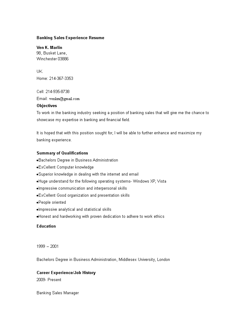 Banking Sales Manager Experience CV 模板