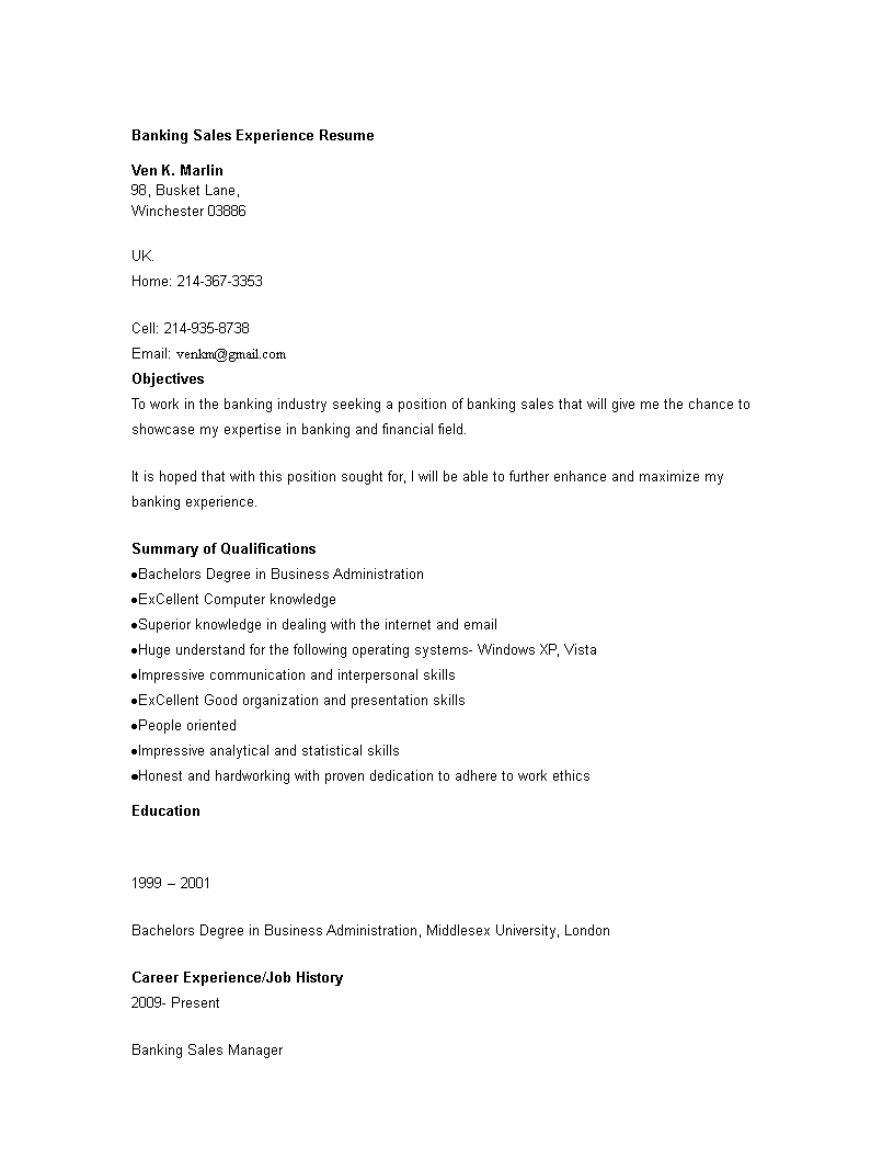 Banking Sales Manager Experience CV main image