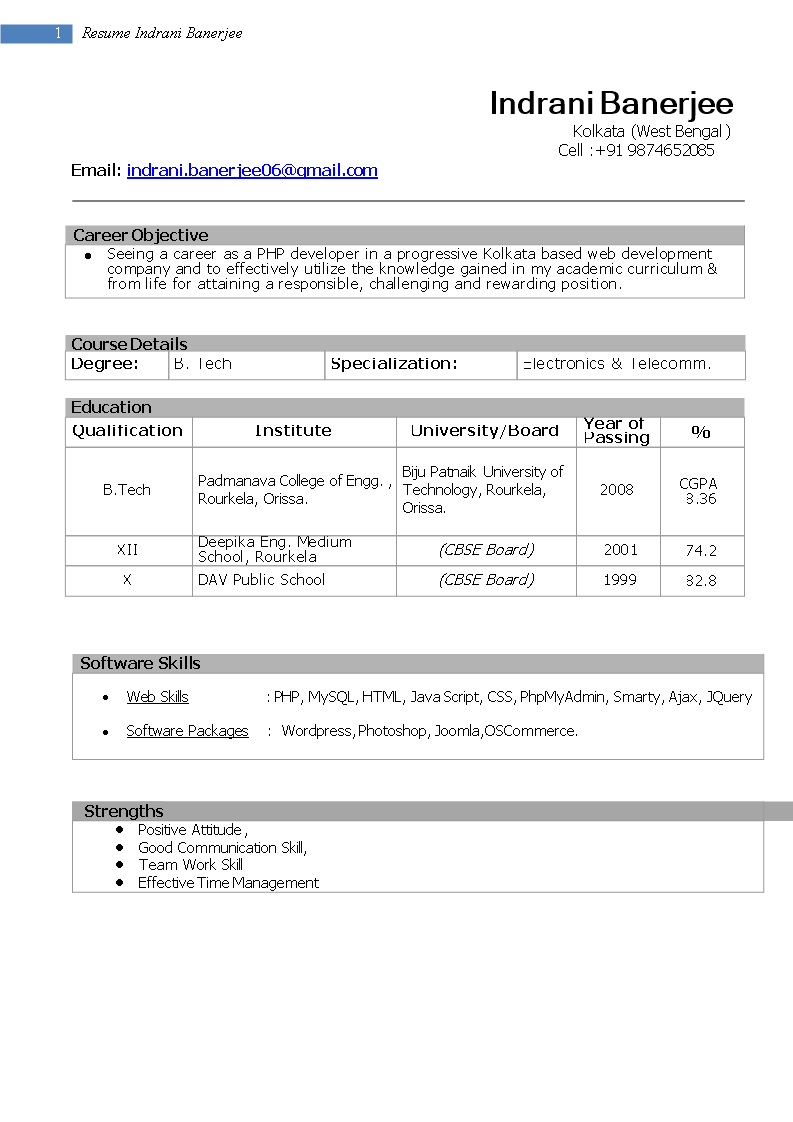 it professional fresher resume voorbeeld afbeelding 