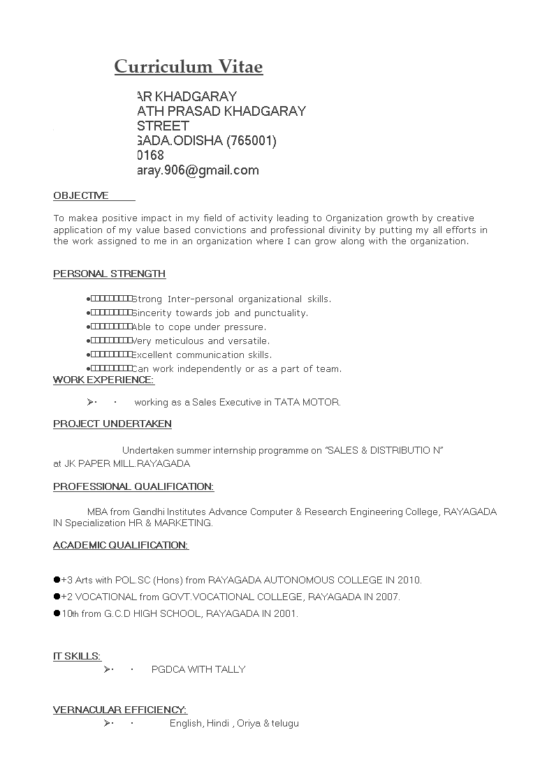 professional marketing resume format Hauptschablonenbild