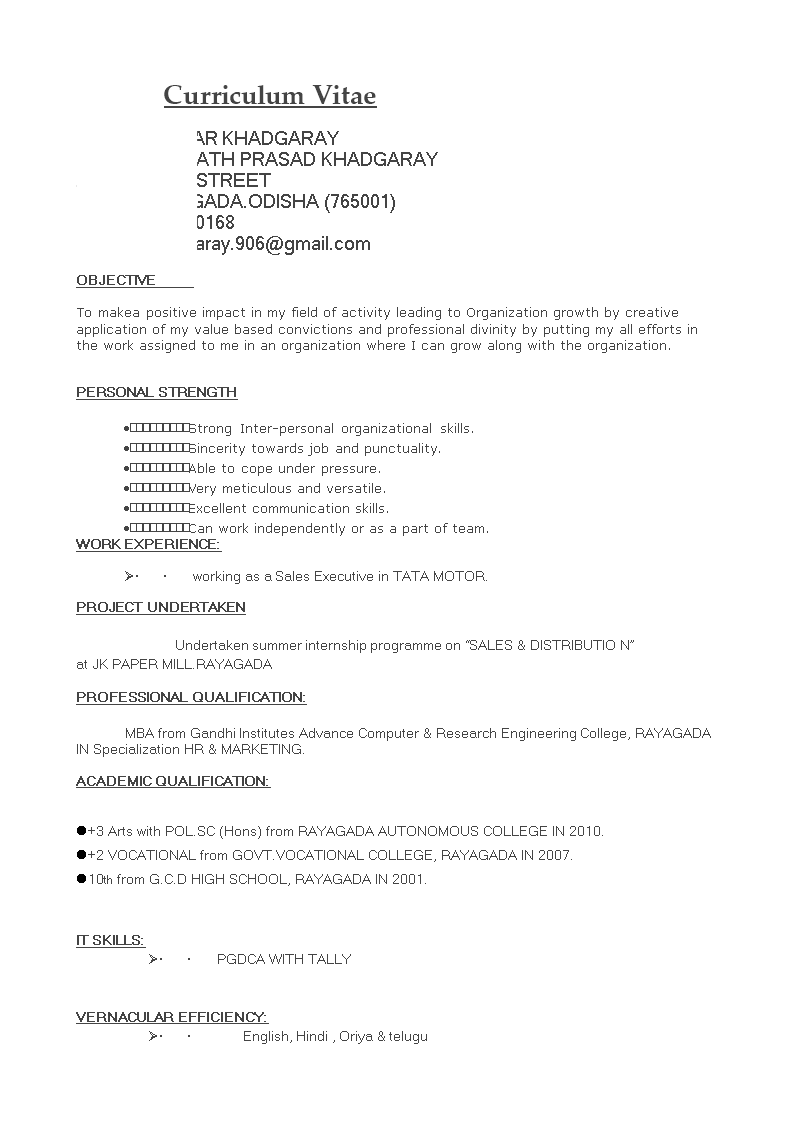 professional marketing resume format modèles