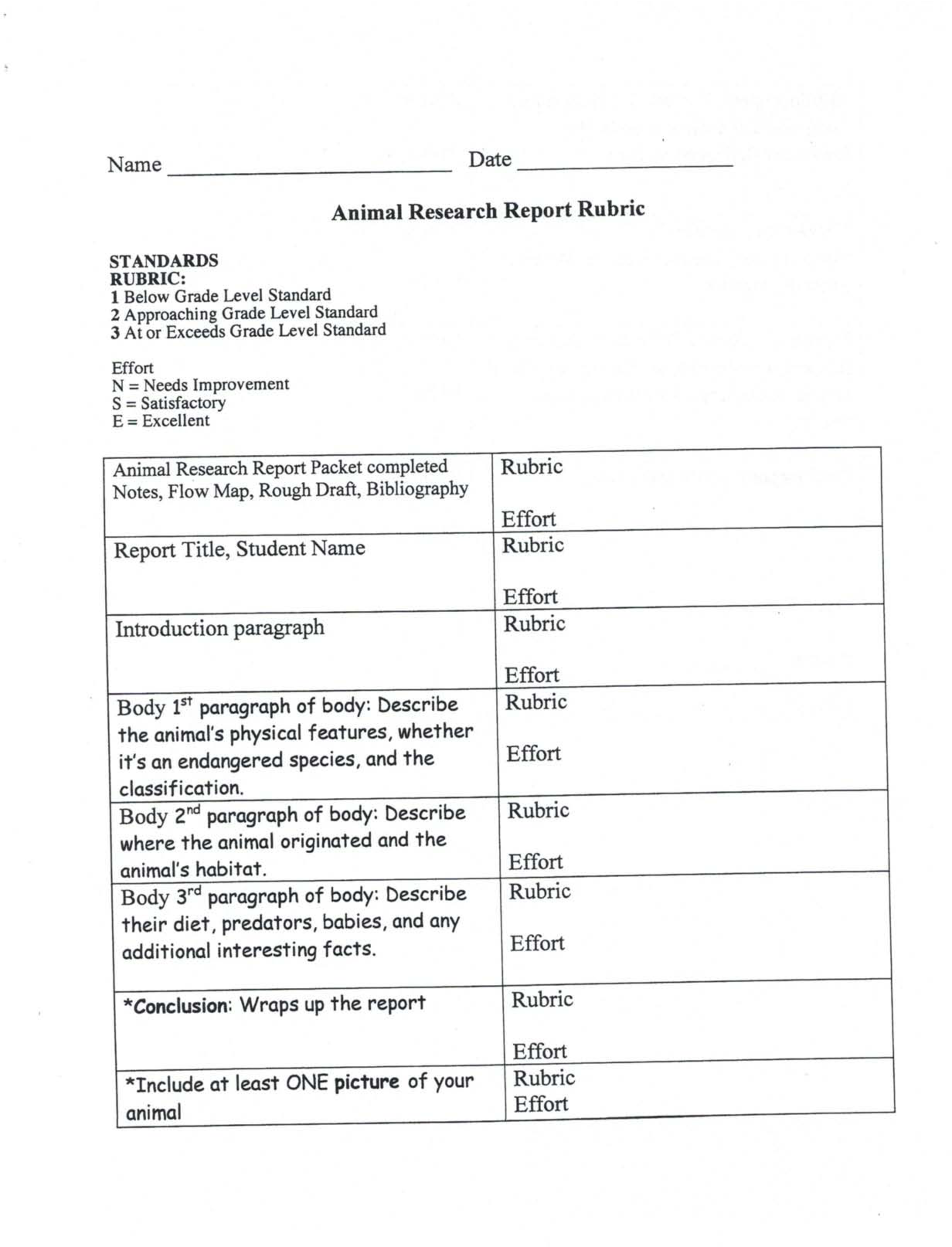 Animal Research 模板