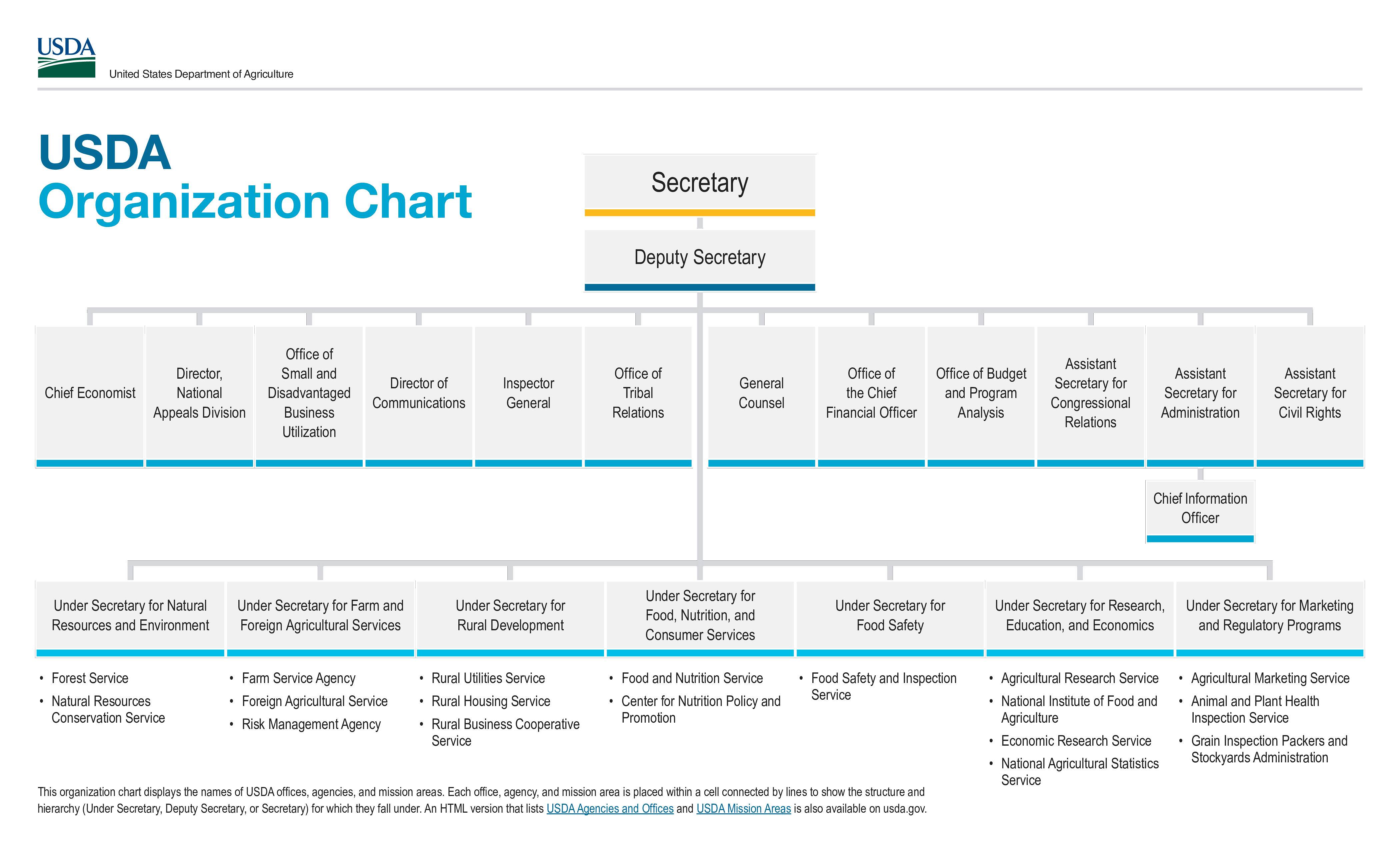 organization chart template