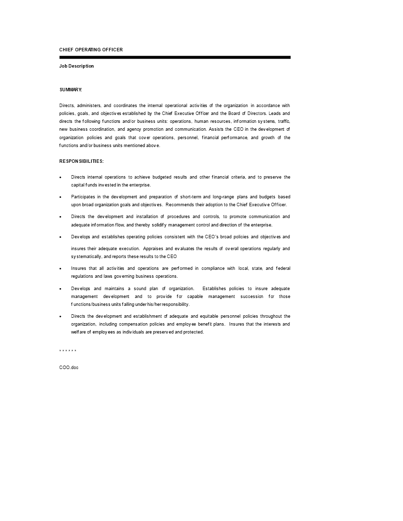 curriculum vitae van chief executive officer template