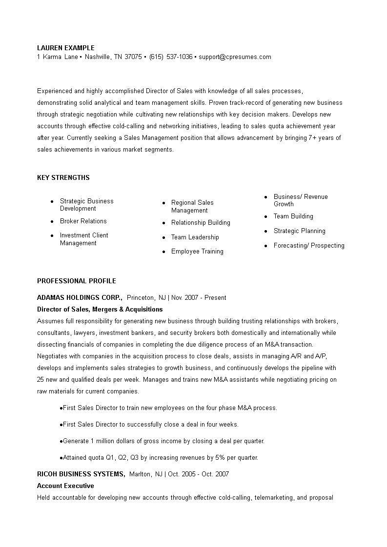 sales director resume template